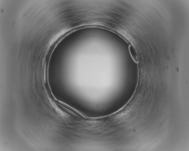 X0000088661127200706081656