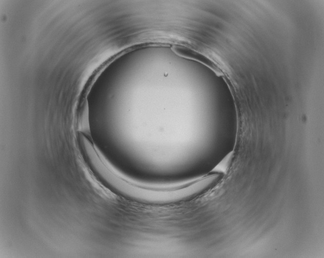 X0000088661128200706081656