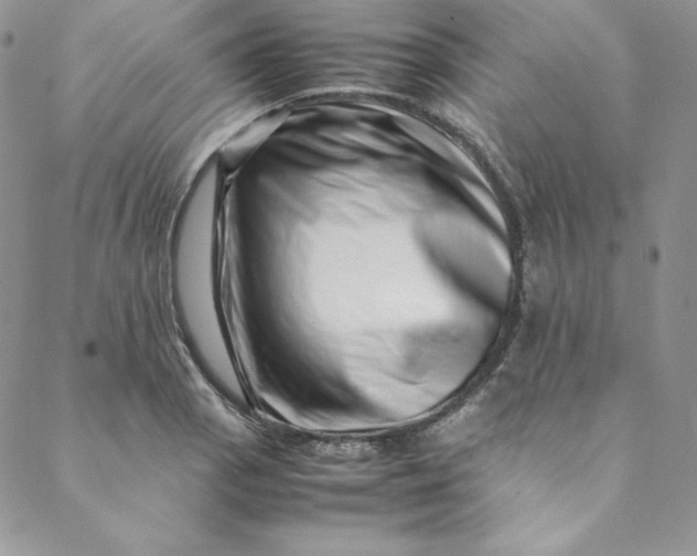 X0000088661129200706081656