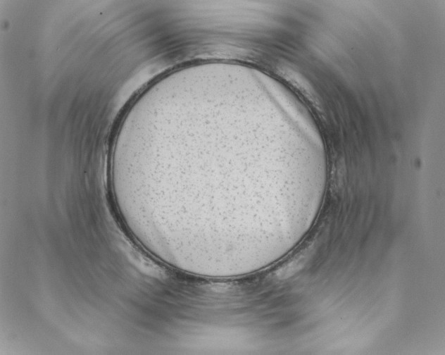 X0000088661130200706081656