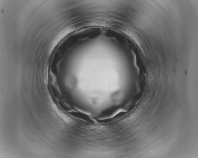 X0000088661131200706081656