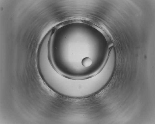 X0000088661132200706081656