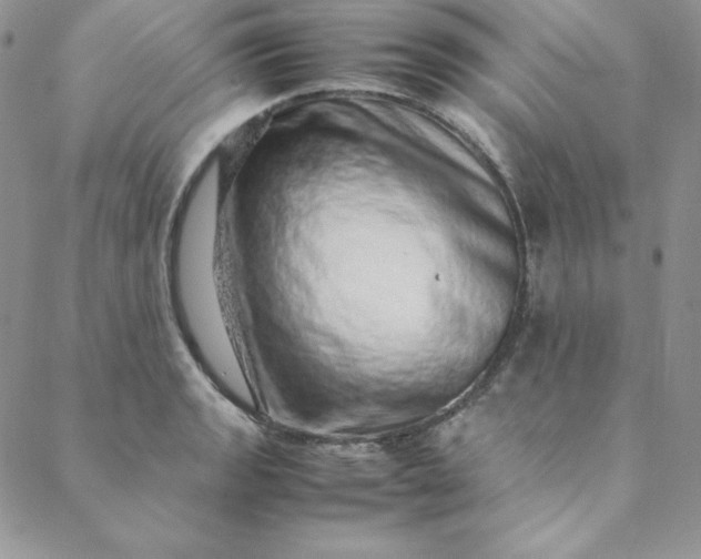 X0000088661133200706081656