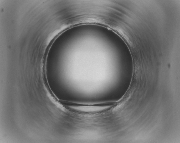 X0000088661134200706081656