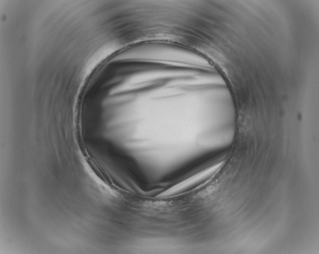 X0000088661135200706081656