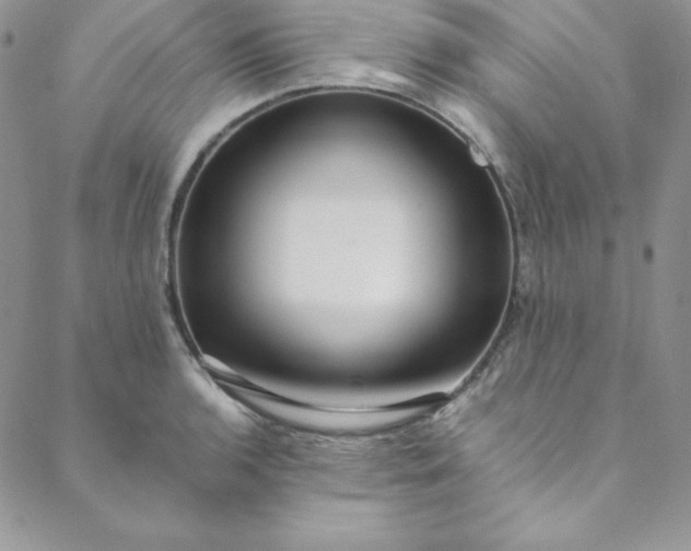 X0000088661136200706081656