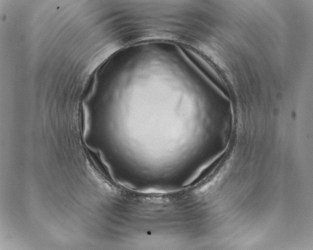 X0000088661137200706081656