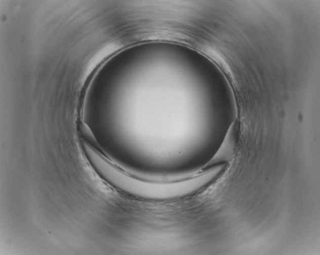 X0000088661138200706081656