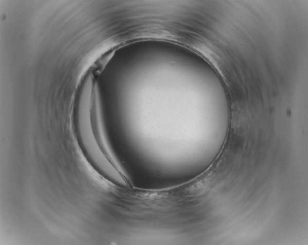 X0000088661139200706081656