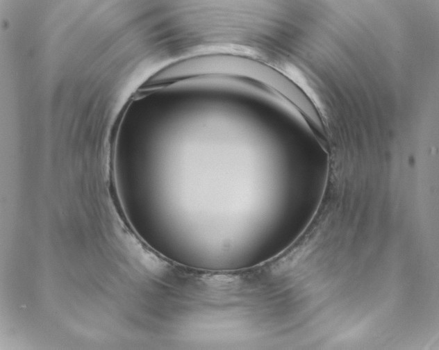 X0000088661140200706081656