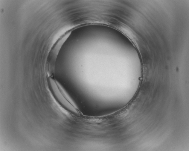 X0000088661141200706081656