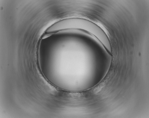 X0000088661142200706081656