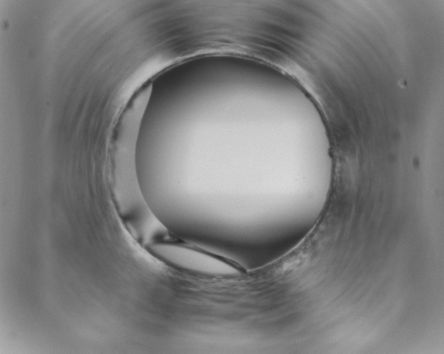 X0000088661143200706081656