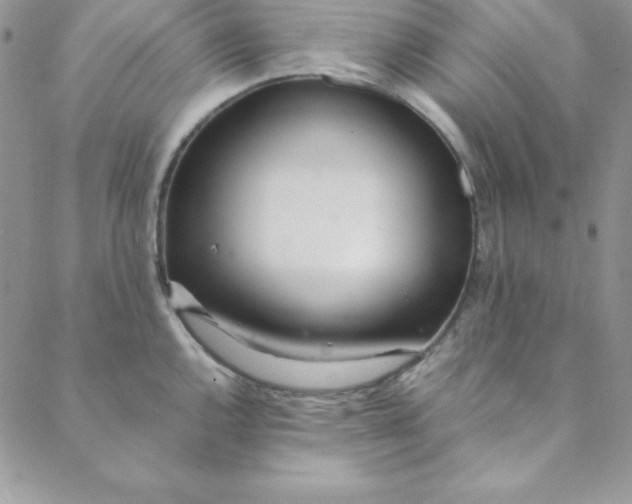 X0000088661144200706081656