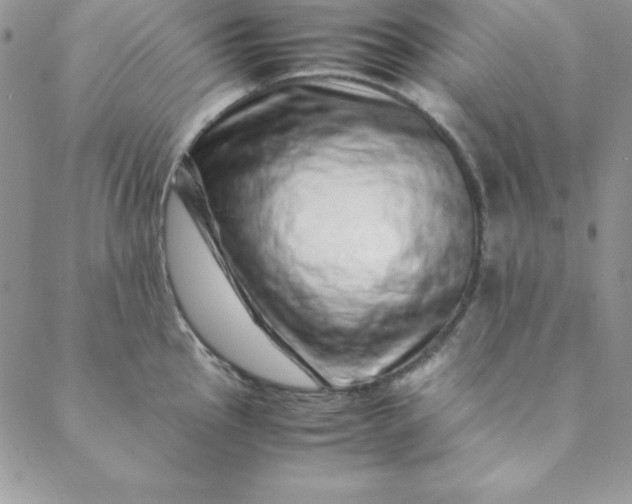 X0000088661145200706081656