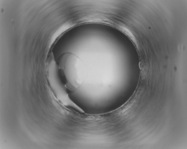 X0000088661146200706081656