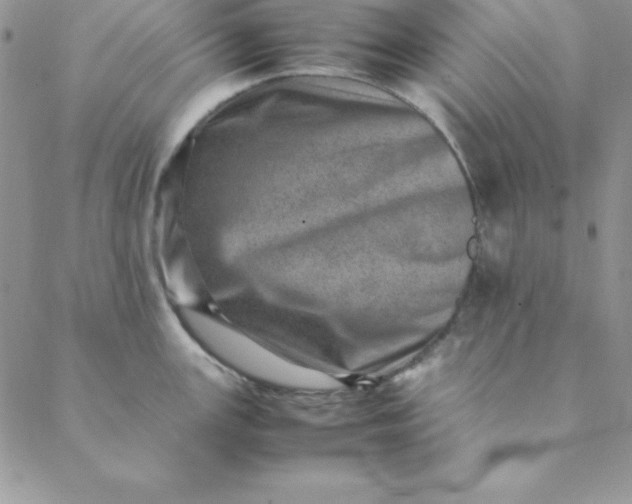 X0000088661147200706081656