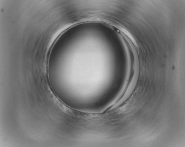 X0000088661148200706081656