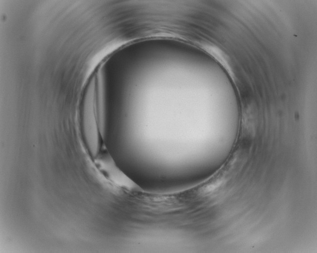 X0000088661149200706081656