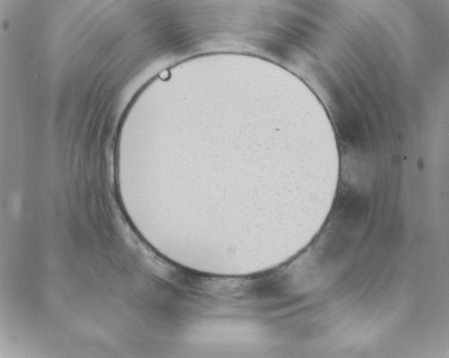 X0000088661150200706081656