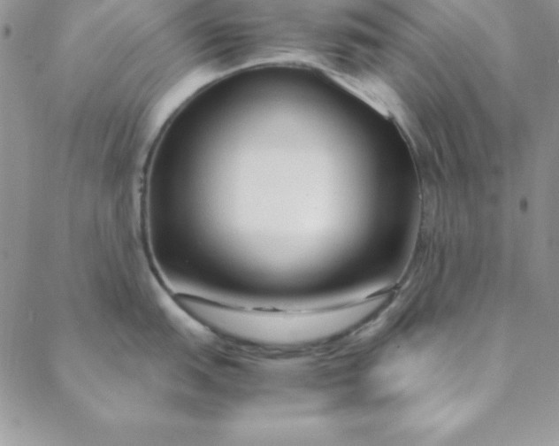 X0000088661151200706081656