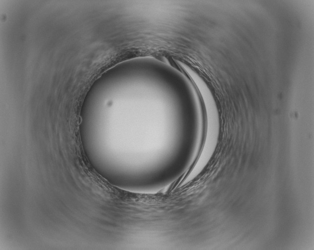 X0000088661153200706081655