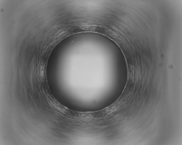 X0000088661154200706081655