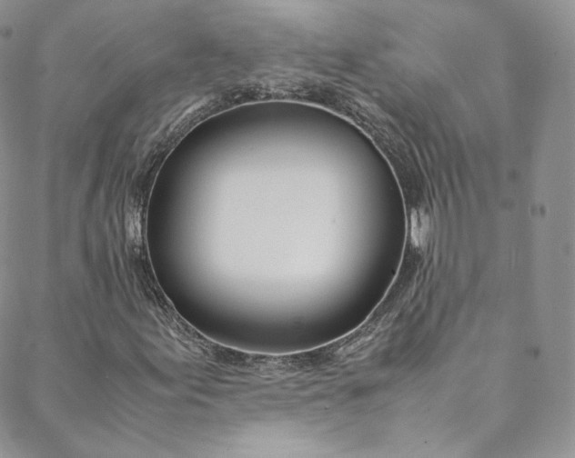 X0000088661155200706081655