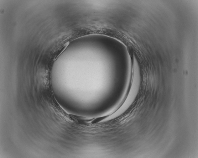 X0000088661156200706081655