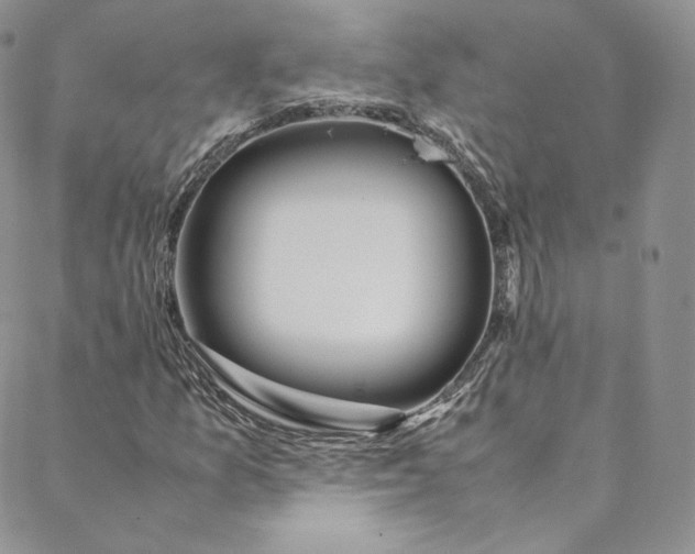 X0000088661157200706081655