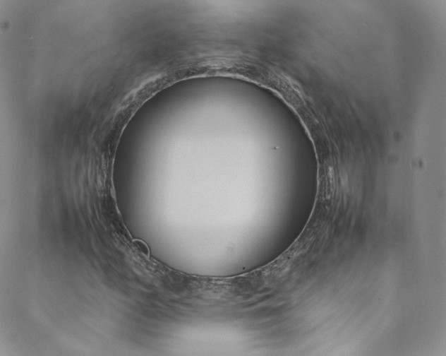 X0000088661158200706081655