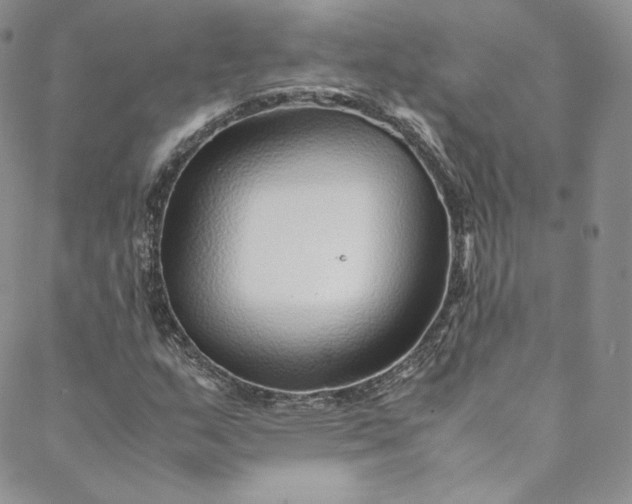 X0000088661159200706081655