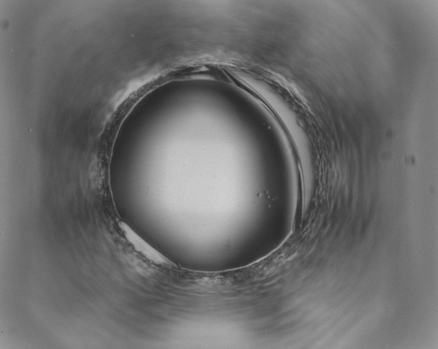 X0000088661160200706081655