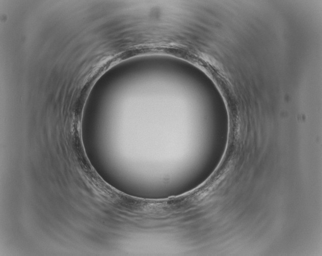 X0000088661161200706081655