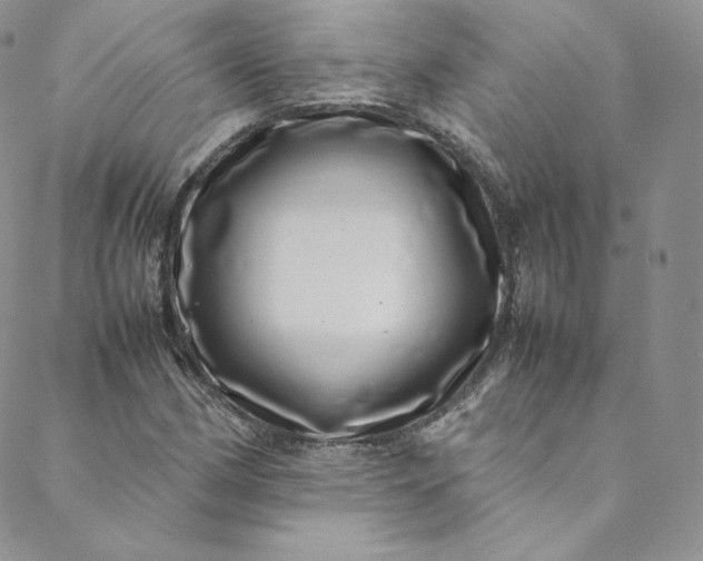 X0000088661162200706081655