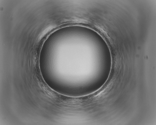 X0000088661163200706081655