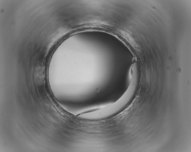 X0000088661164200706081655