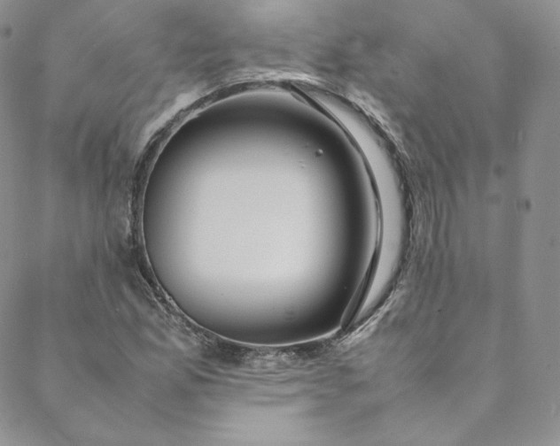 X0000088661165200706081655