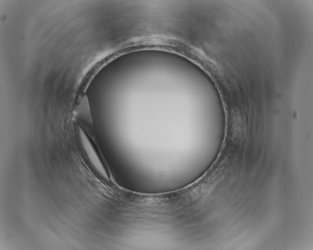 X0000088661166200706081655