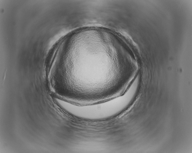 X0000088661167200706081655