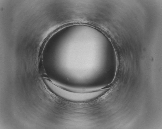 X0000088661168200706081655