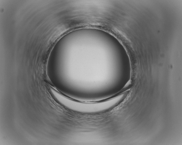 X0000088661169200706081655