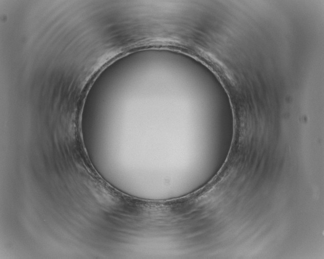 X0000088661170200706081655