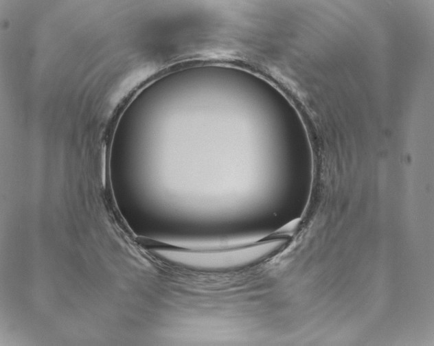 X0000088661171200706081655