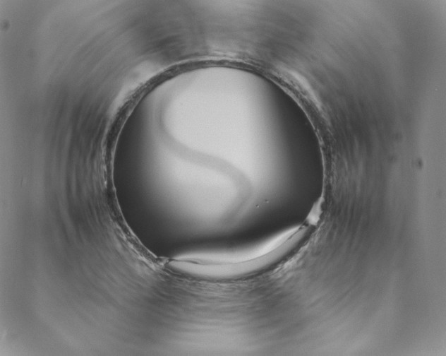 X0000088661172200706081655