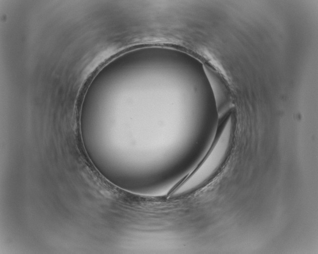 X0000088661173200706081655