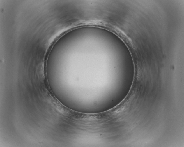 X0000088661174200706081655