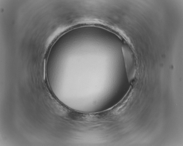 X0000088661175200706081655