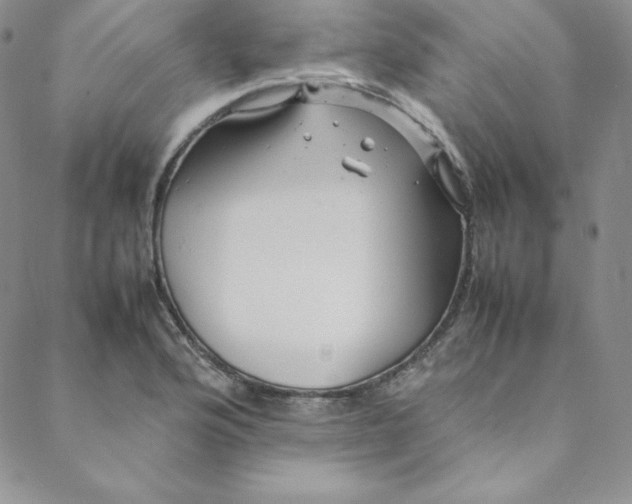 X0000088661176200706081655