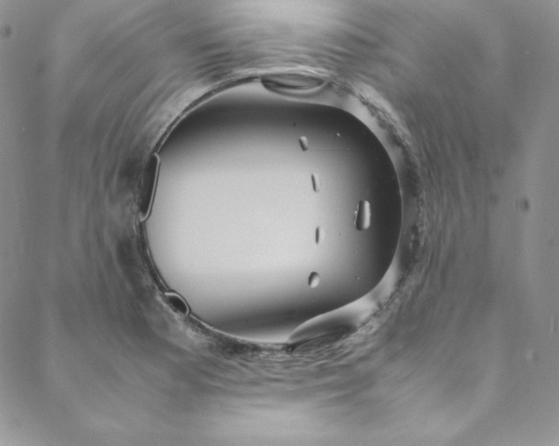 X0000088661177200706081655